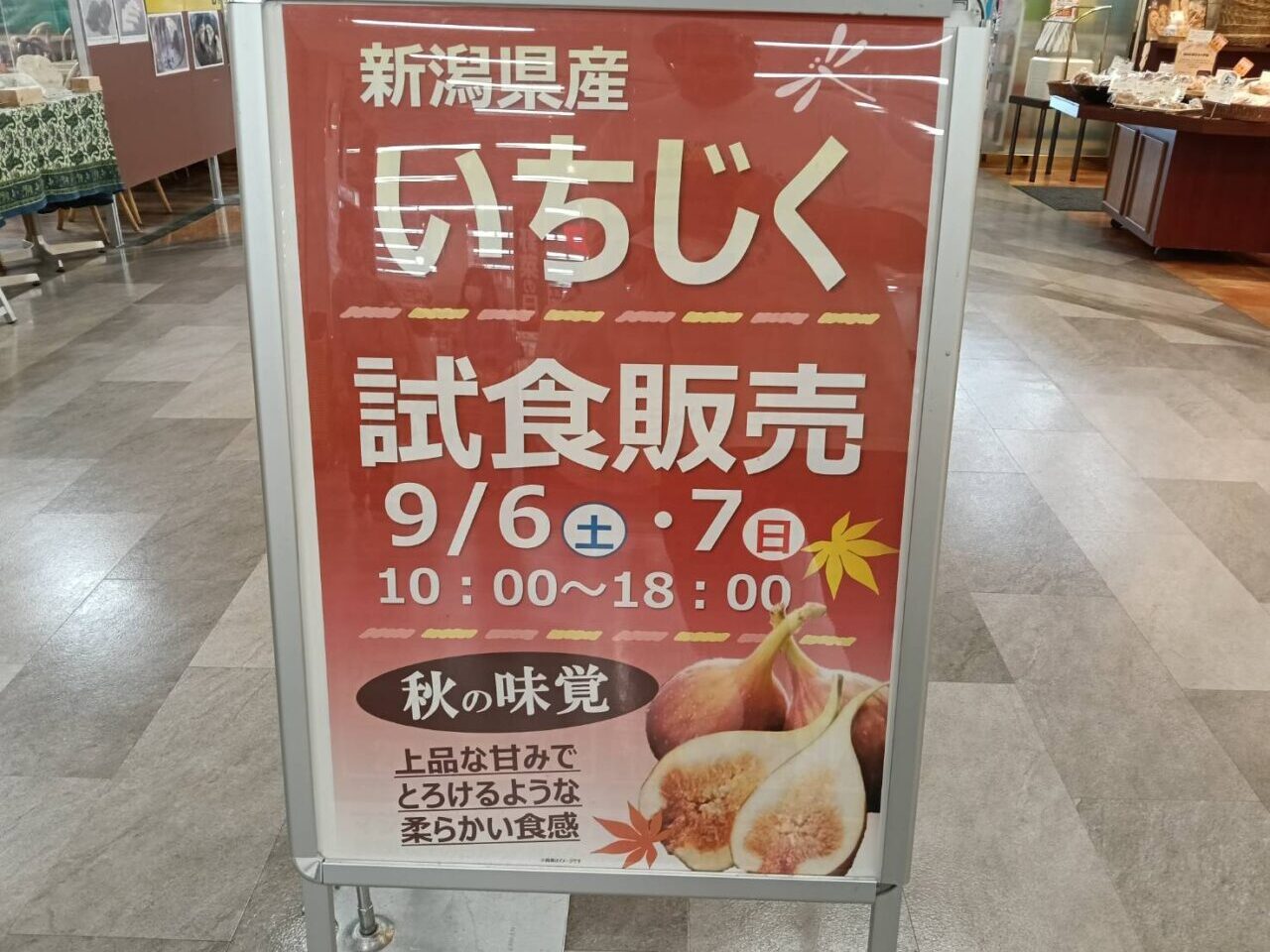 アピタイチジク