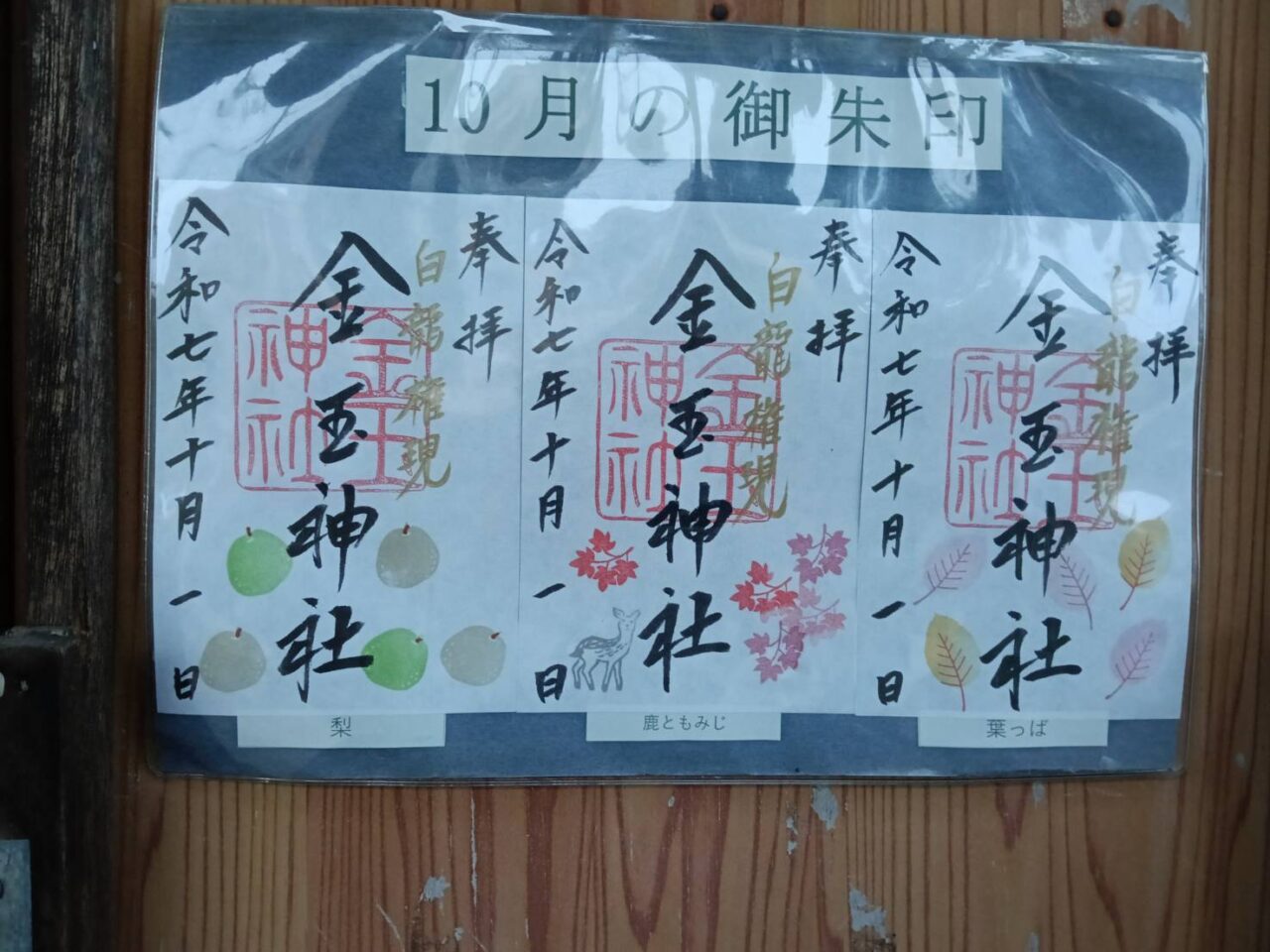 金玉9月