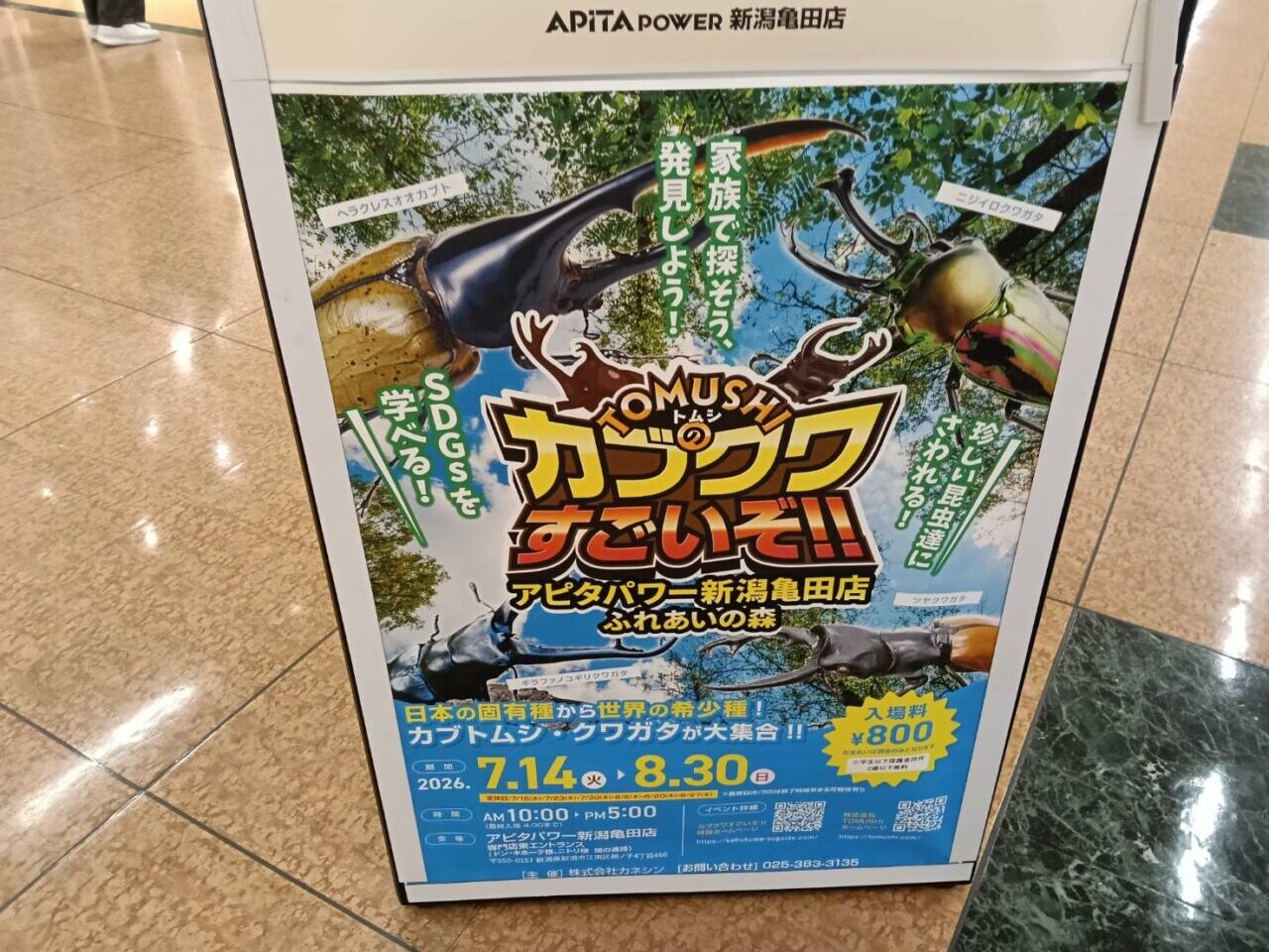 アピタクワカブ26