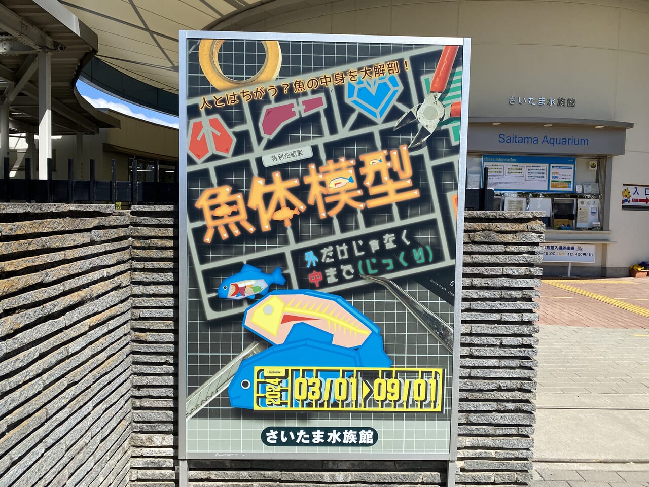 さいたま水族館の特別企画展「魚体模型～外だけじゃなく中までじっくり～」のポスター