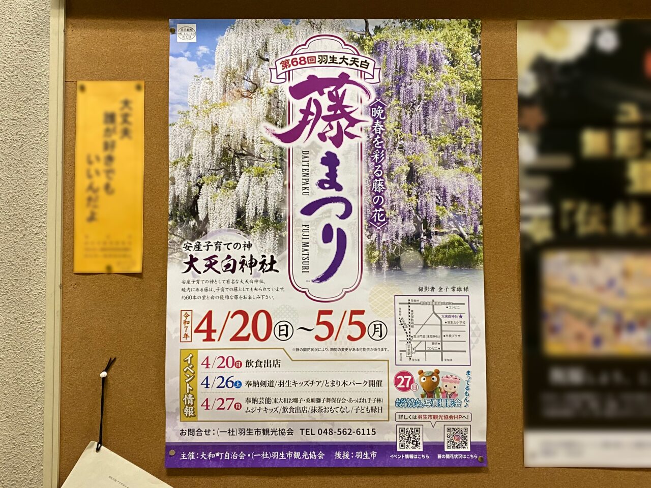 第68回 羽生大天白藤まつりポスター