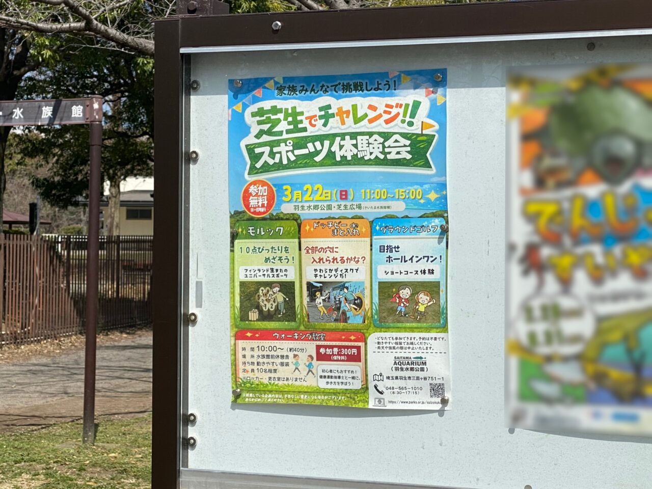 「芝生でチャレンジ！スポーツ体験会」ポスター