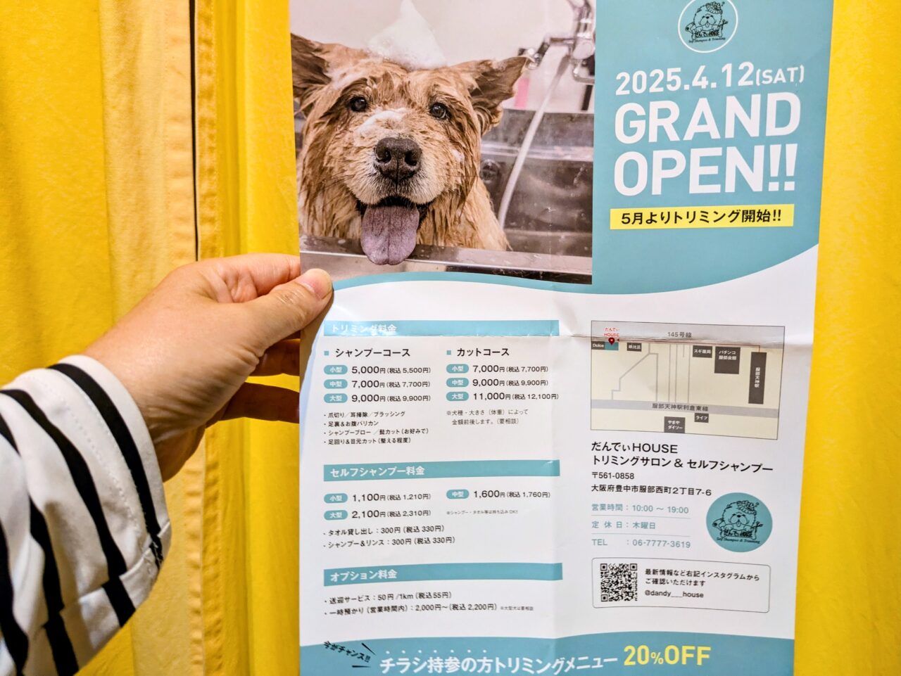 だんでぃHOUSE　オープニングのチラシ