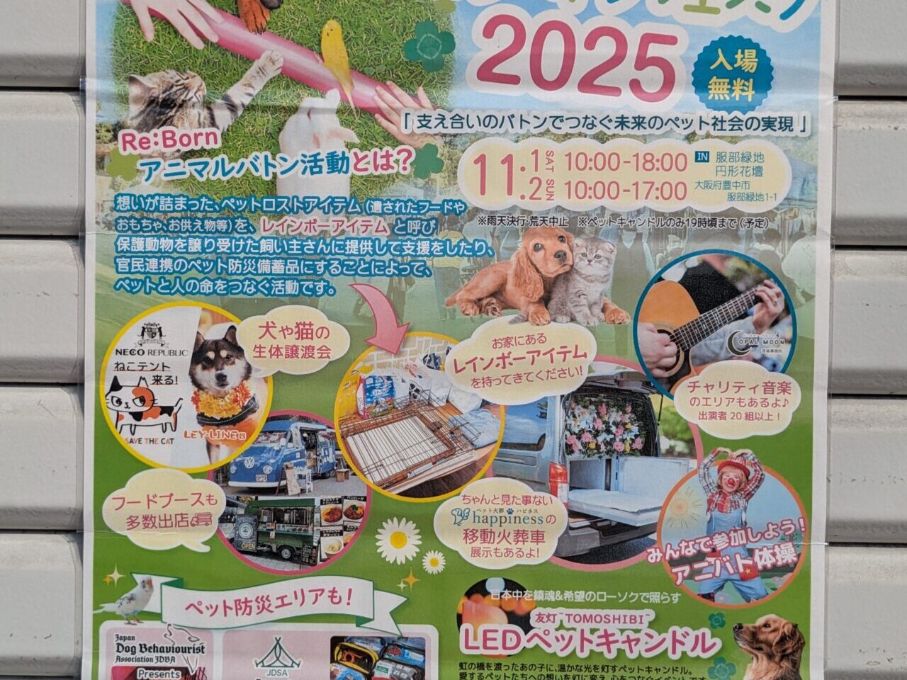 リ:ボーンアニマルバトンフェスタ2025