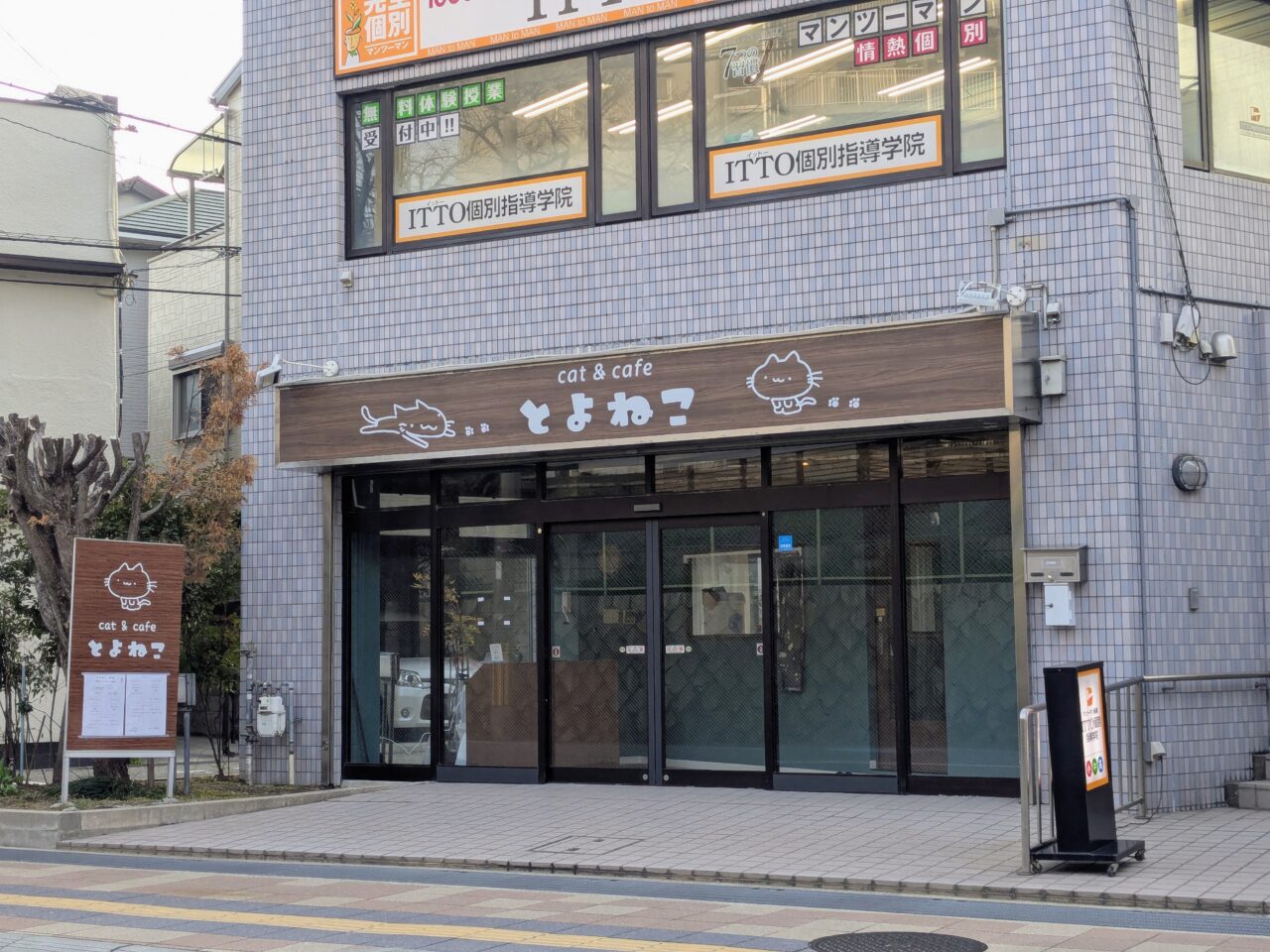 猫カフェとよねこ