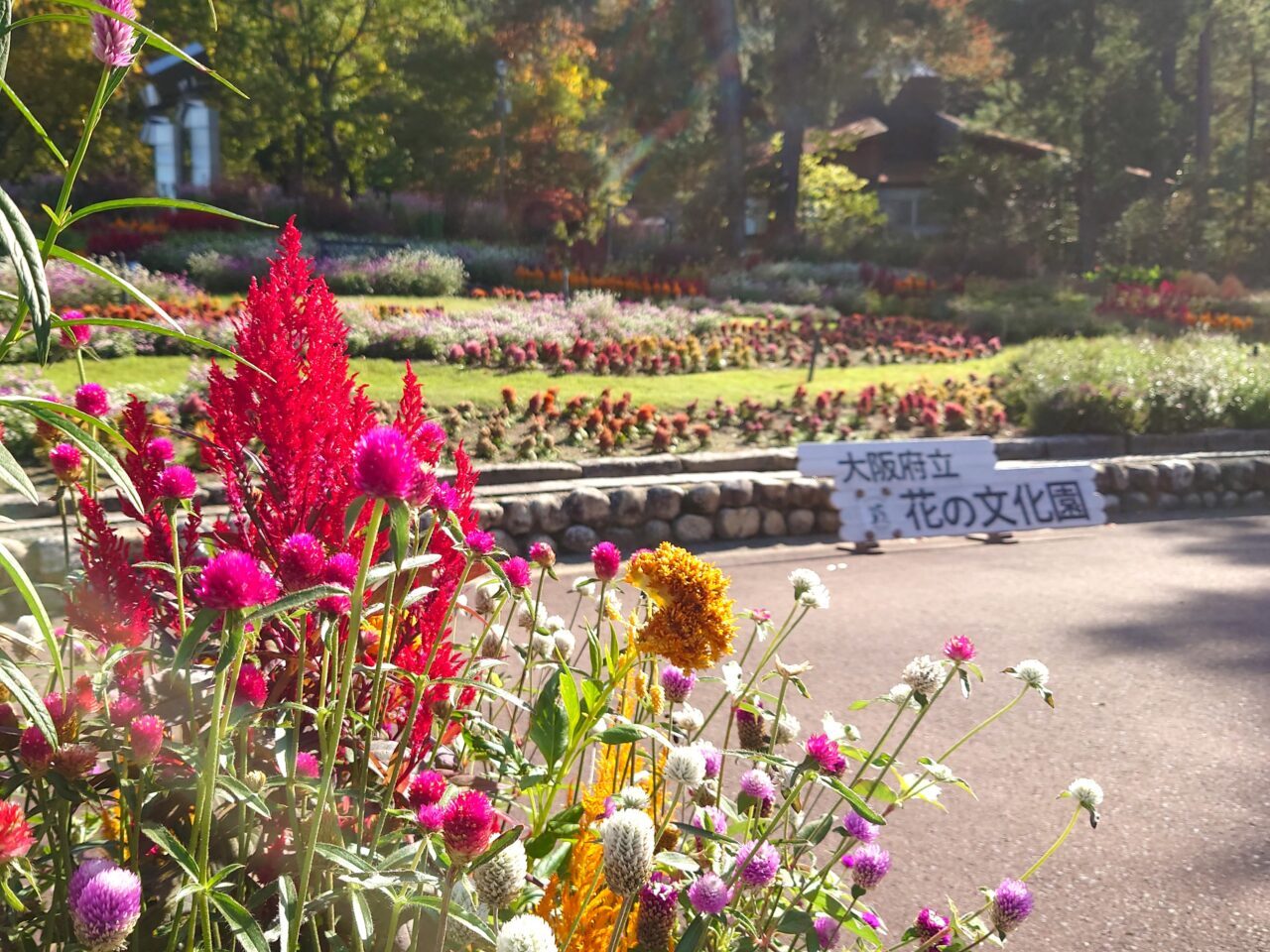 花の文化園「関西文化の日」2025