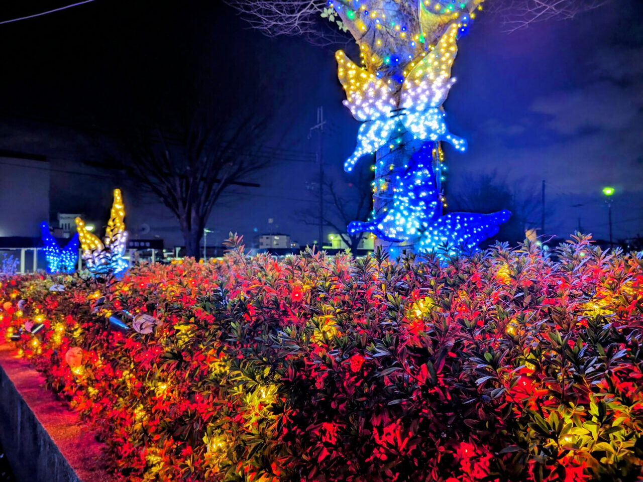 金剛きらめきイルミネーション2025