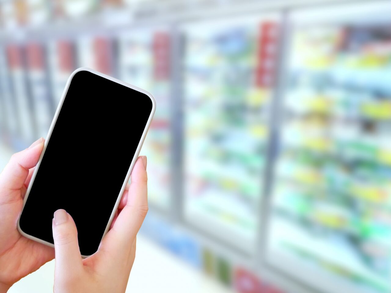 食料品等物価高騰対策支援事業