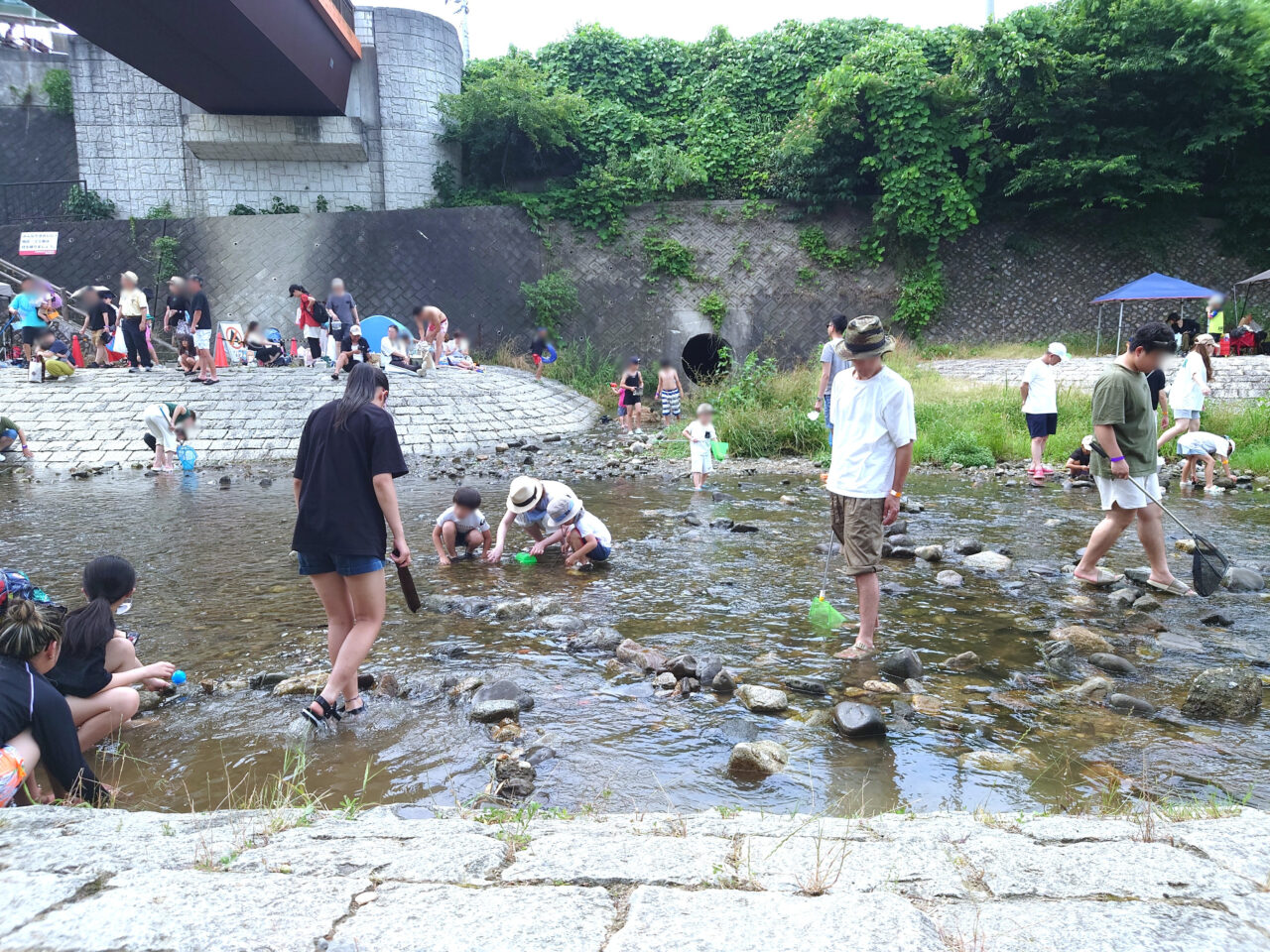生きもの探検隊2026