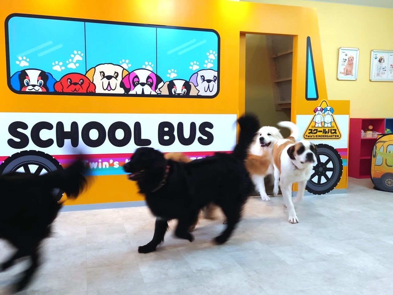 超大型犬ふれあいカフェ「TWIN’S（ツインズ）」