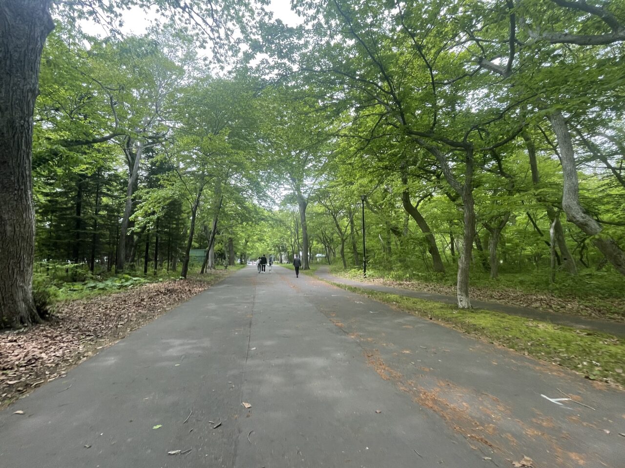 青葉公園