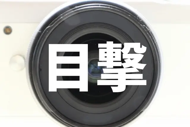 目撃