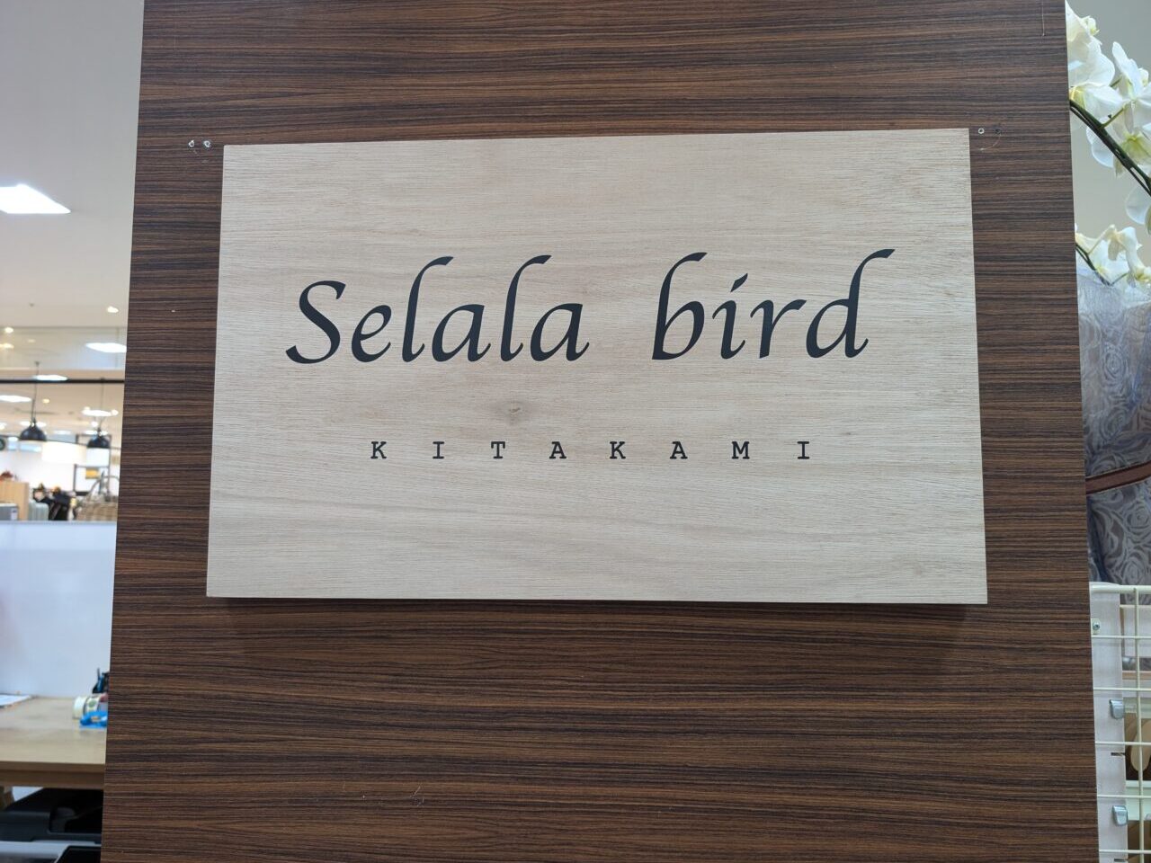 selala　bird