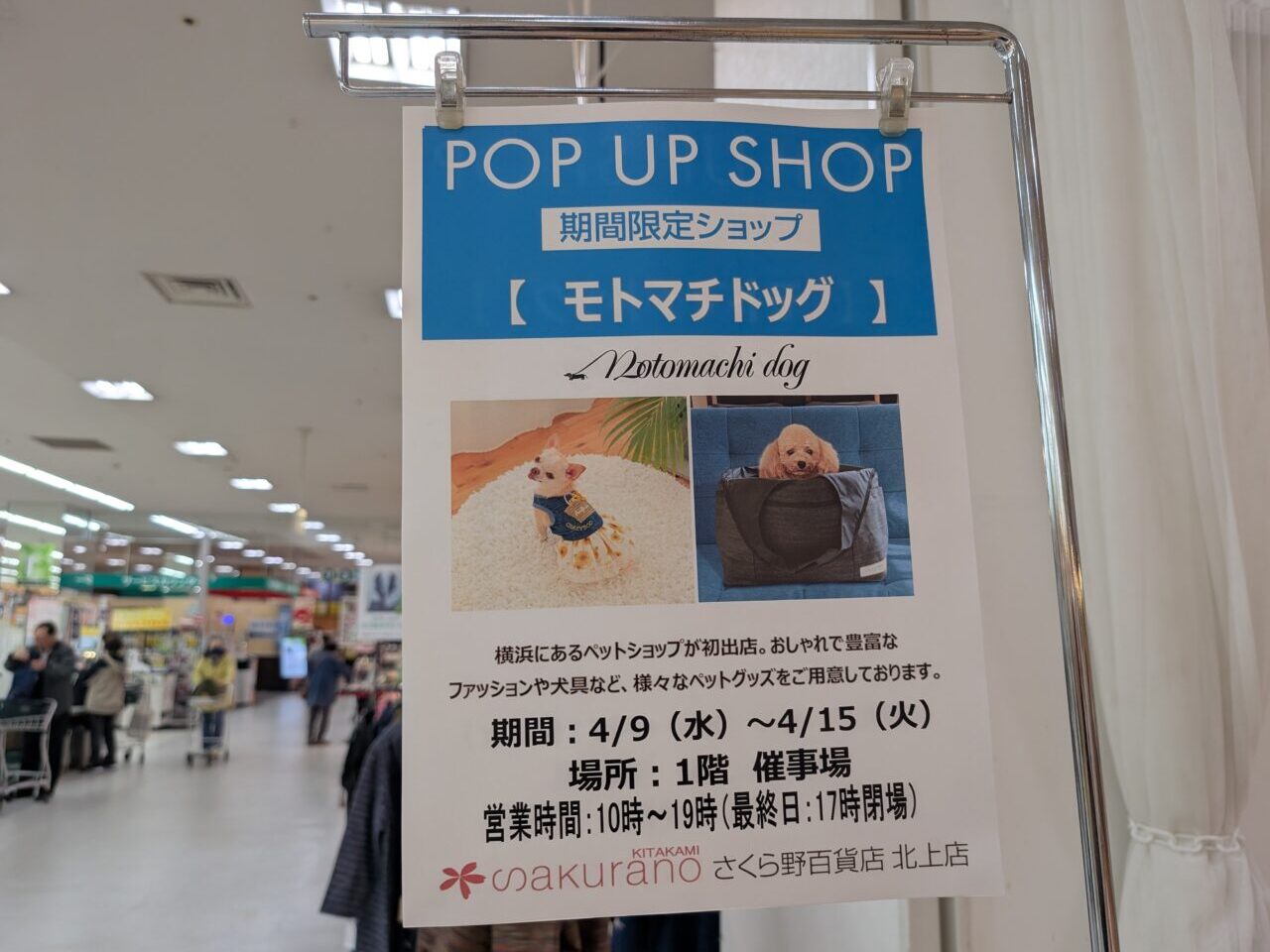 モトマチドッグリーフ