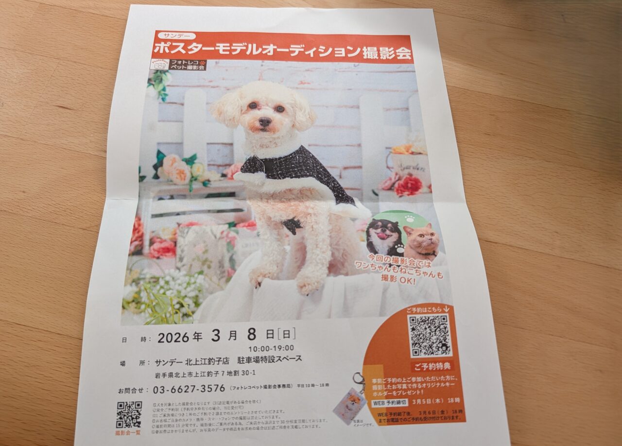 ポスターモデルオーディション