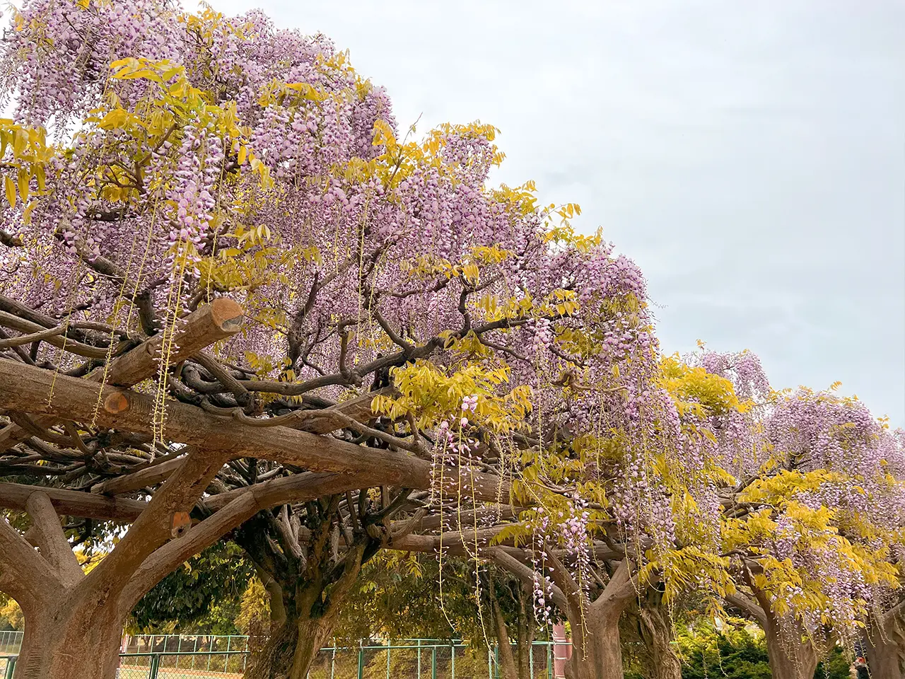 greenpark_02