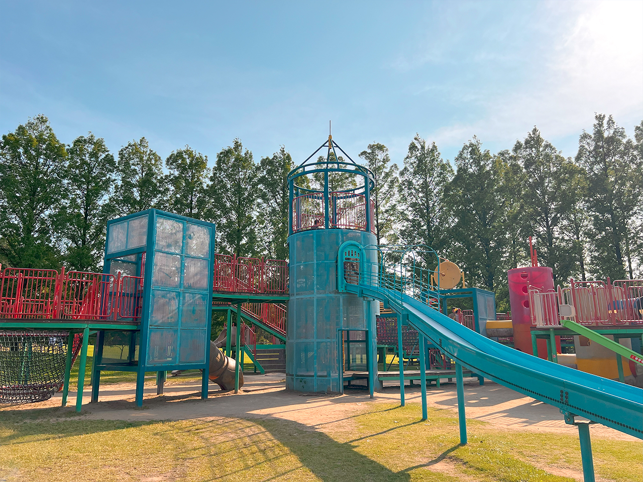 wakamiya_08