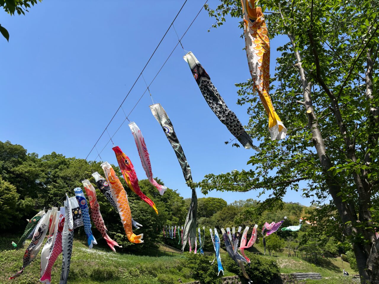 神奈川県立茅ケ崎里山公園
