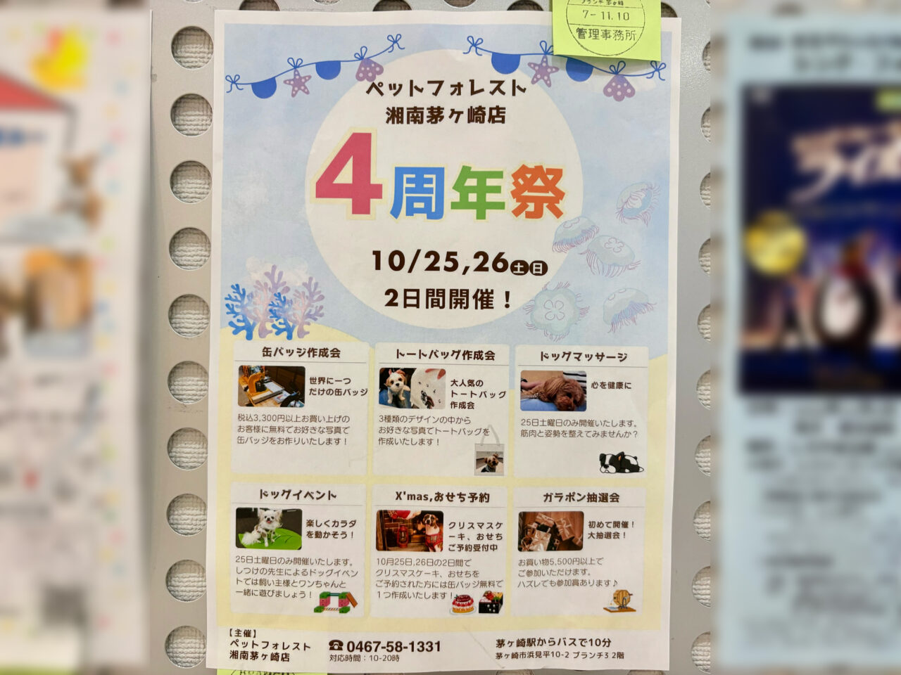 ペットフォレスト4周年祭のチラシ