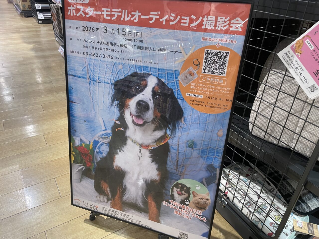 そよら湘南茅ヶ崎で2026年3月15日に開催されるポスターモデルオーディション撮影会の案内ポスター