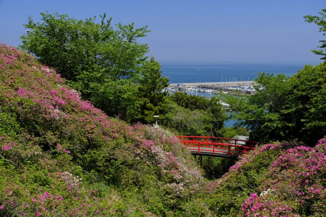 あたご山