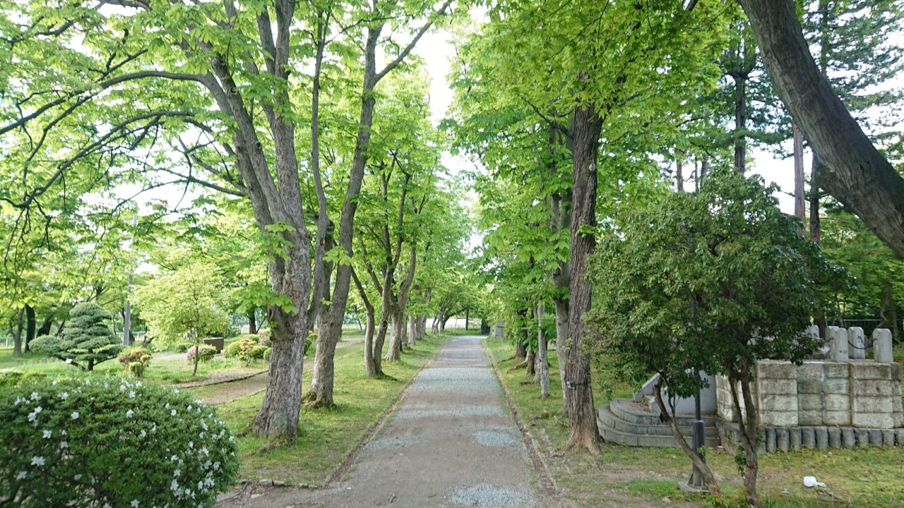 二の丸の景色。さまざまな緑が楽しい
