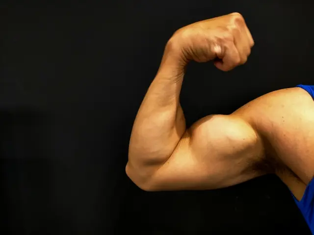 筋肉のイメージ