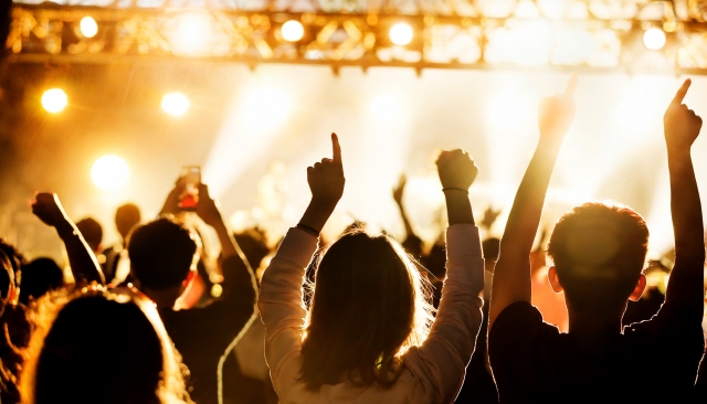 ライブで盛り上がる人々のイメージ2603