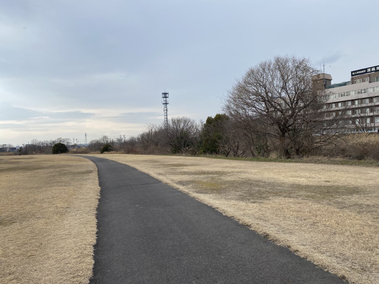 矢田川河川緑地