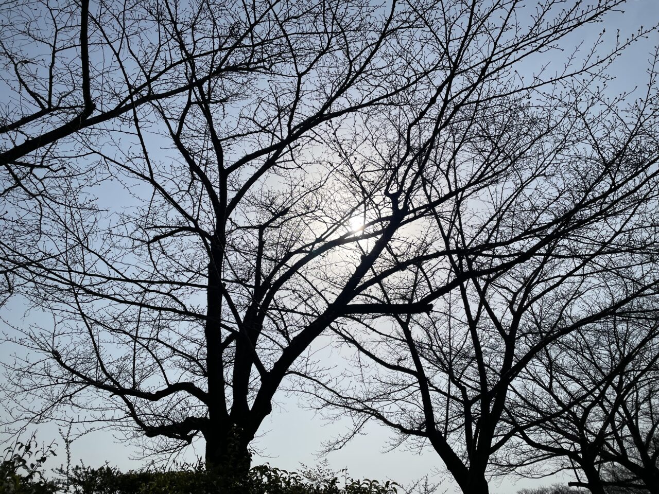 本地ヶ原公園