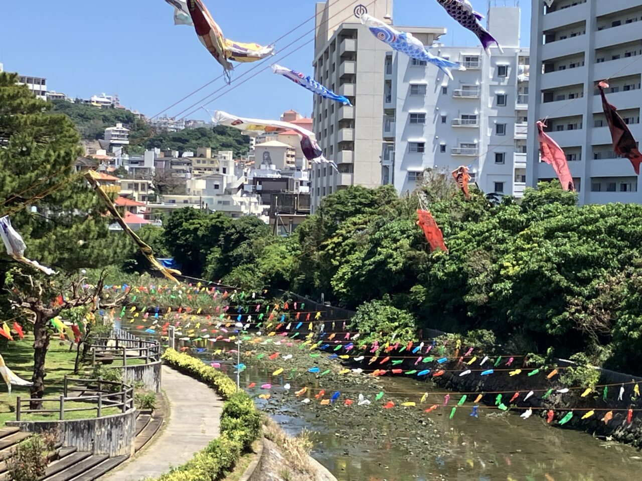 uchimakoinobori