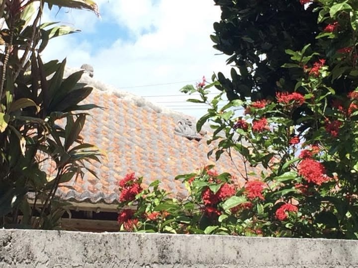 okinawa view