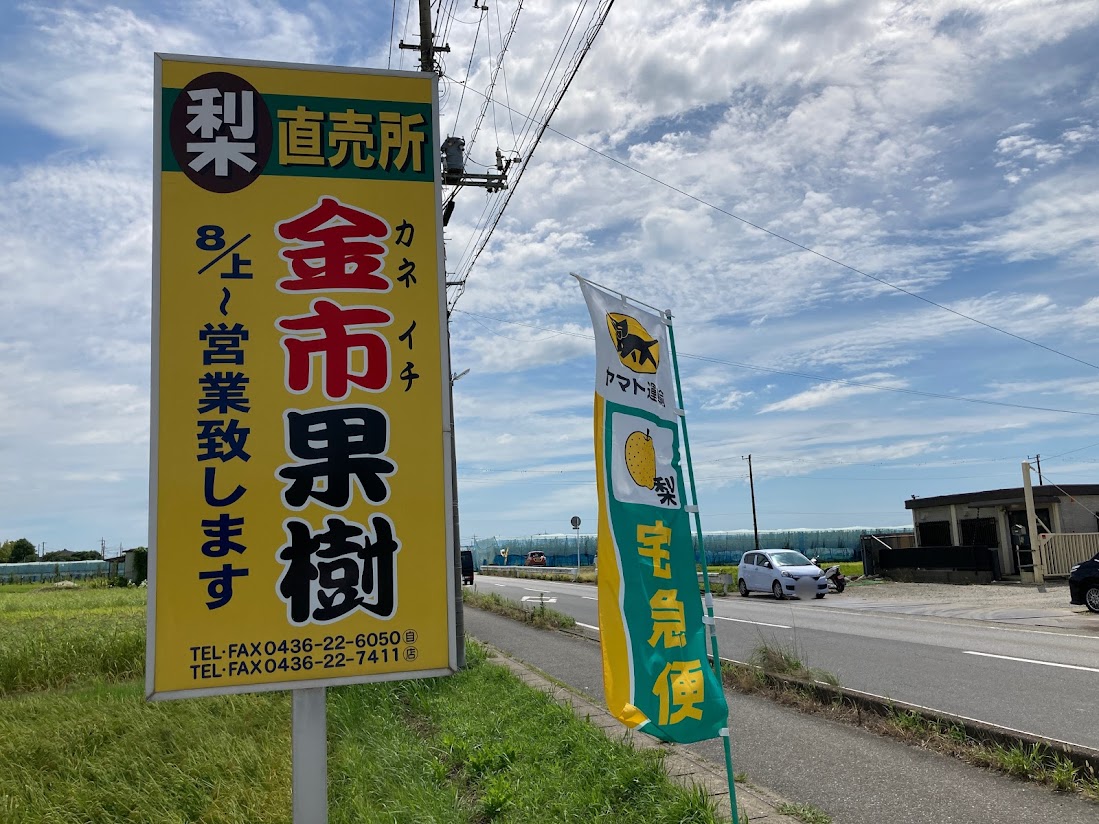 金市果樹1