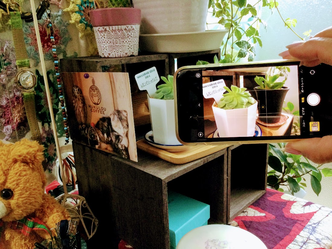 市原市 もっと素敵に撮ってみたい そんなあなたへ スマホカメラで学ぶ 映える写真の撮り方講座 がありますよ 号外net 市原市