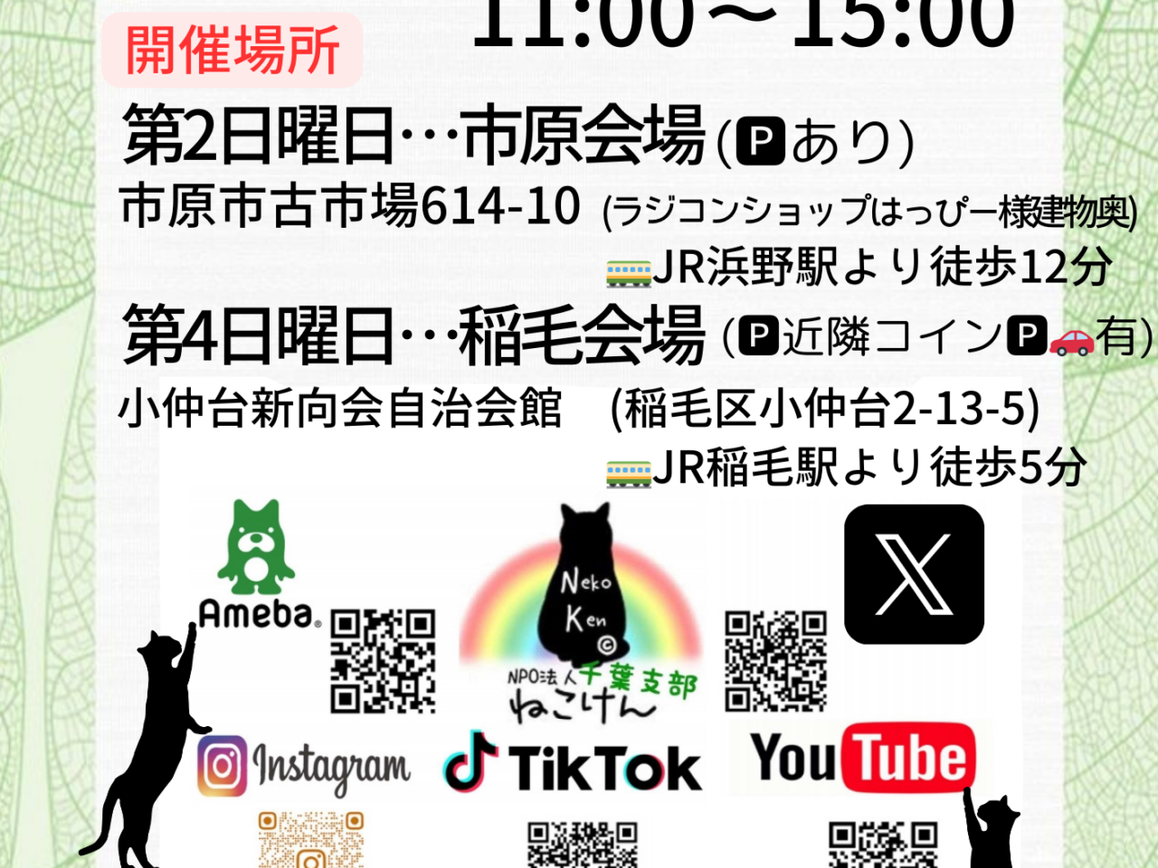 猫譲渡会