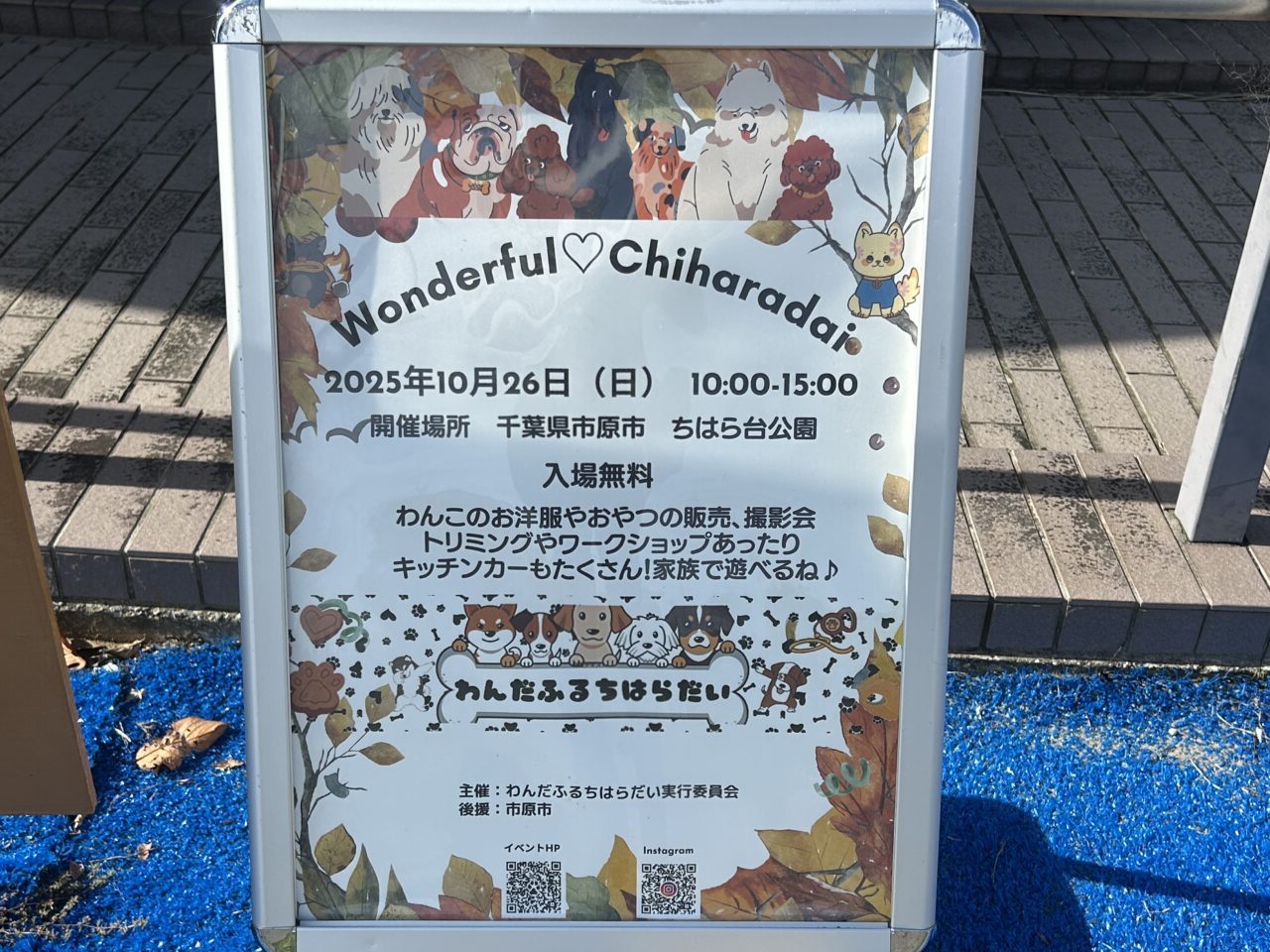 わんだふるちはらだい