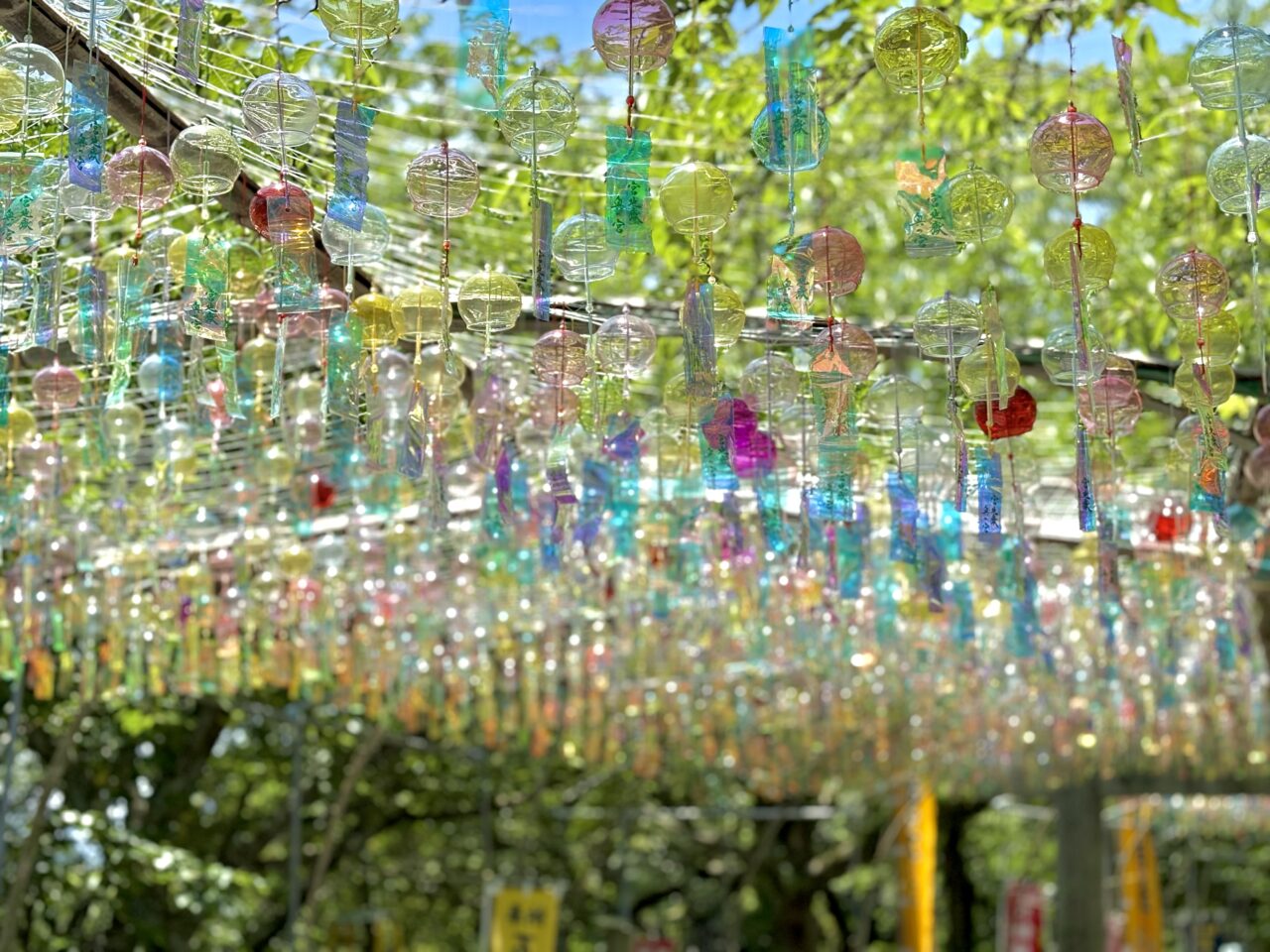 宮地嶽神社 風凛まつり