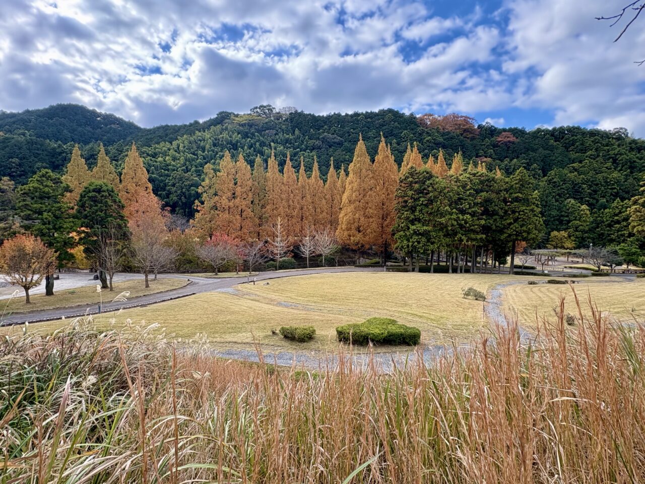 本木川自然公園 ほたるの里