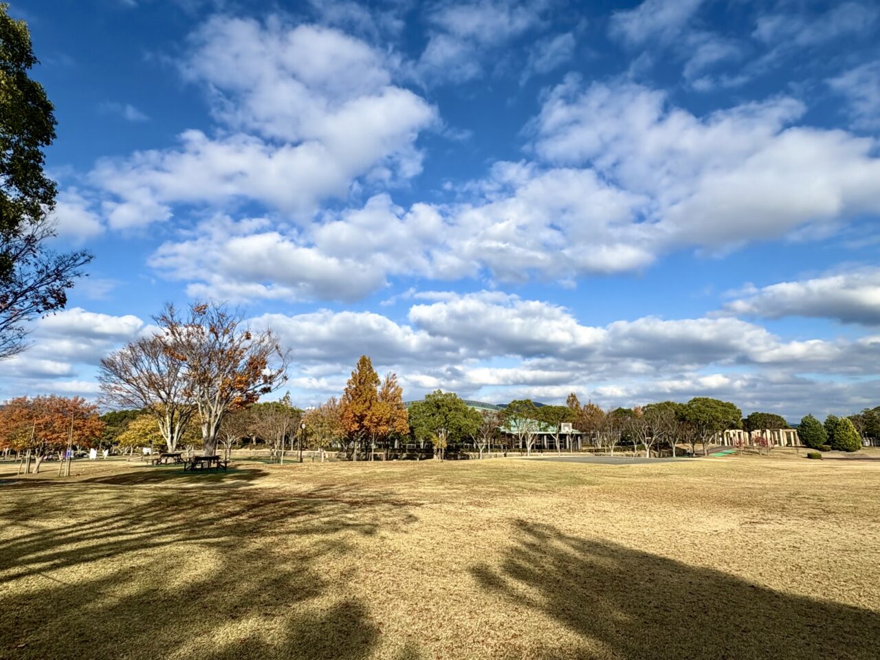 宗像ユリックス 芝生広場