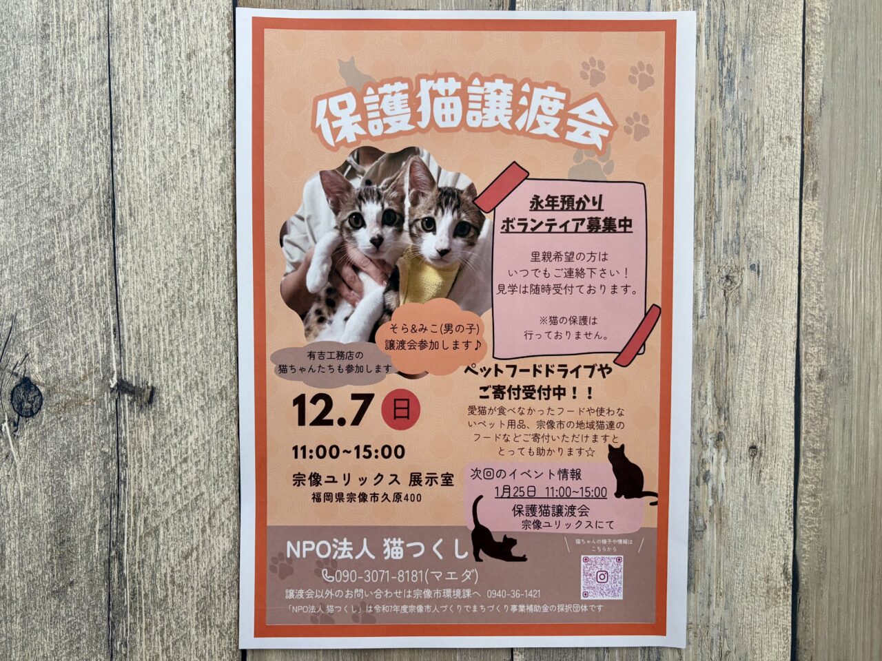 宗像市】12/7(日) NPO法人「猫つくし」による『保護猫譲渡会』が宗像