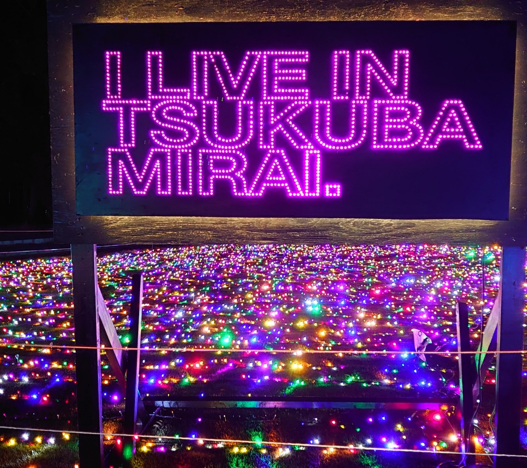 きらくやまふれあいの丘イルミネーション2025