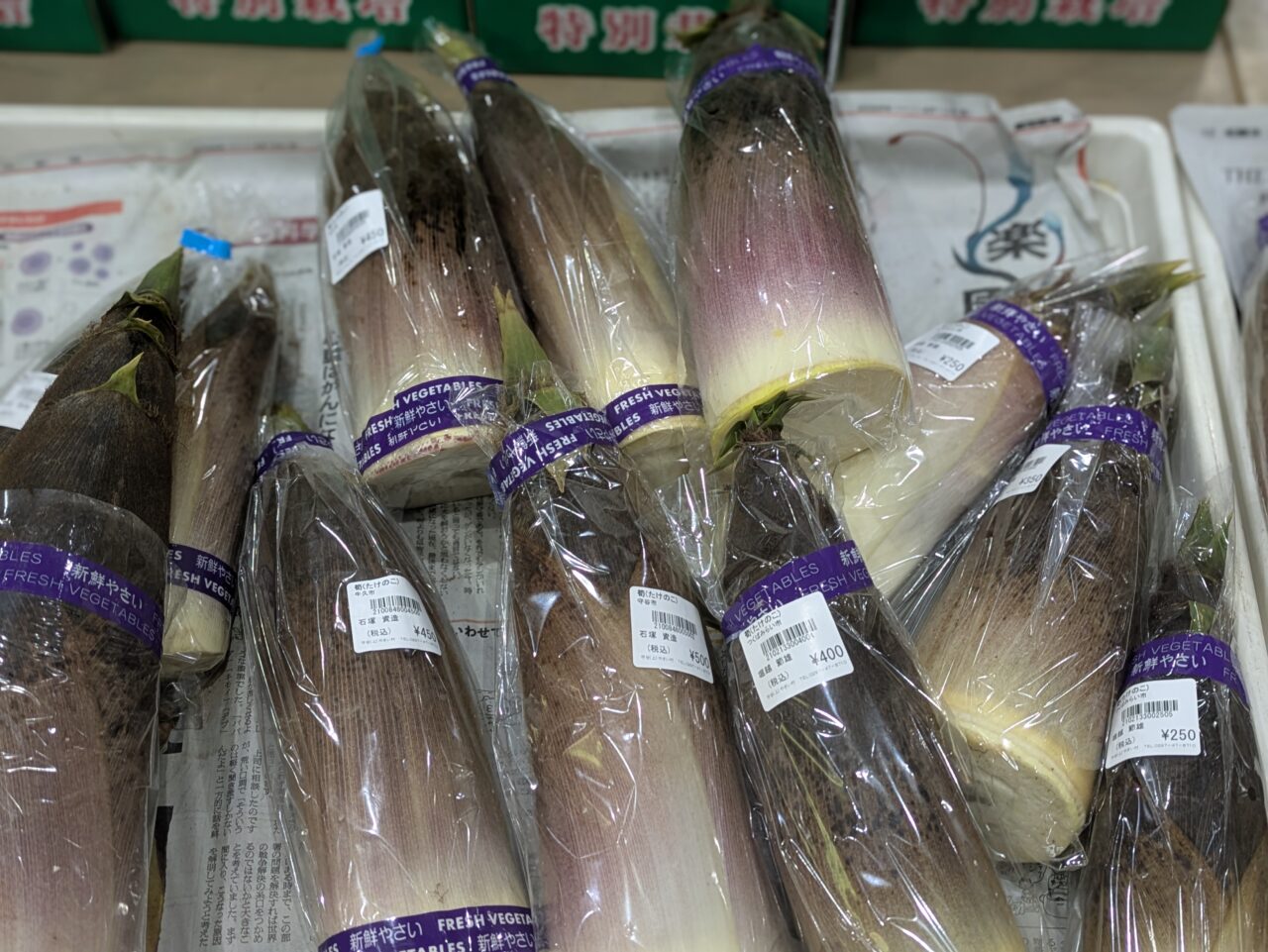 タケノコ