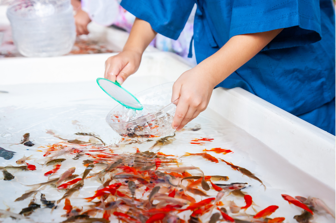 夏祭りの屋外広場で行われる金魚すくいのイメージ