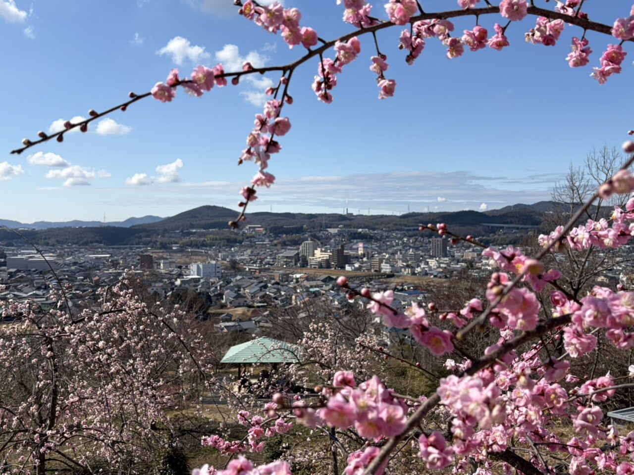 土岐市高山梅園