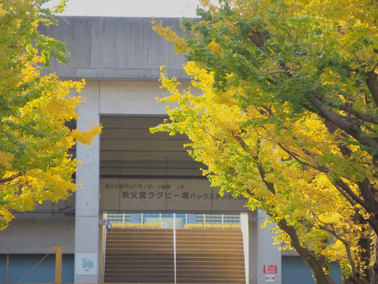 秩父宮ラグビー場