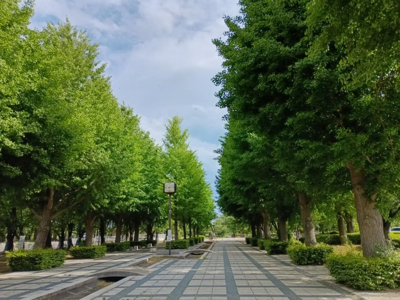 2026本庄総合公園春まつり