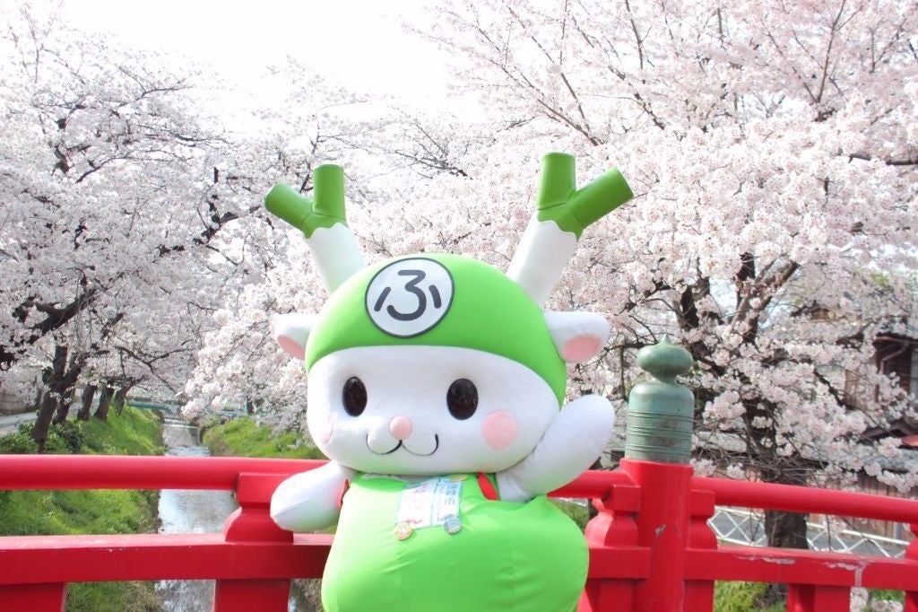 2026深谷の桜、復活プロジェクト