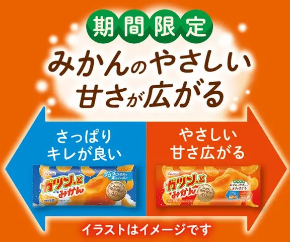 2026ガツンとみかん秋冬発売