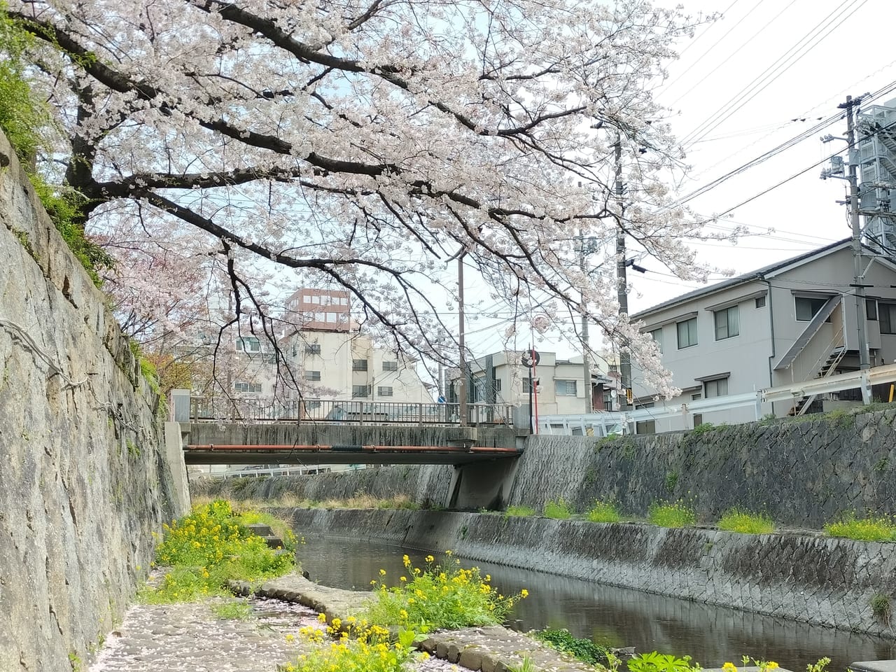 東川　ぼんぼりまつり