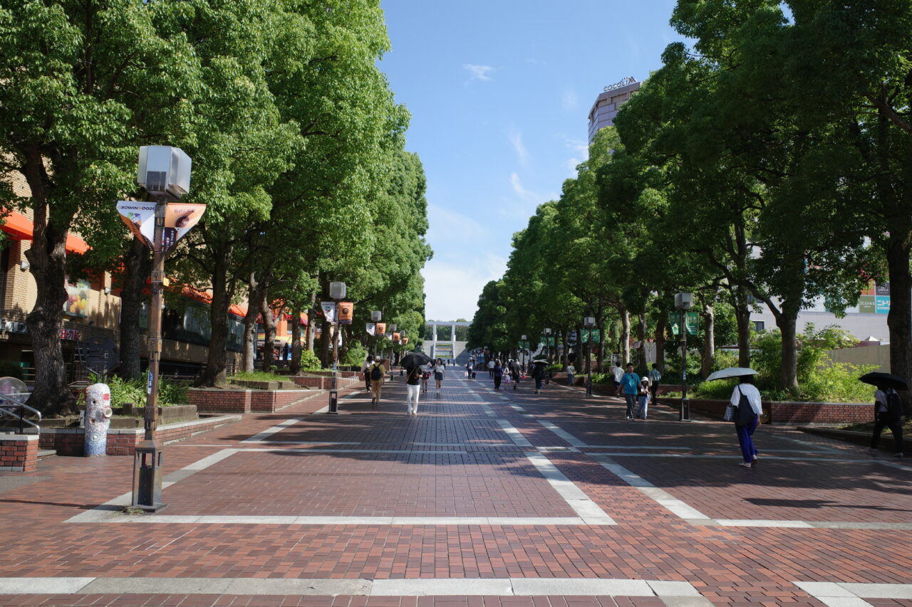 多摩中央公園のふんすい遊びに行ってみた！